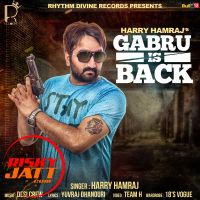 Download Gabru is Back Harry Hamraj mp3 song, Gabru is Back lyrics