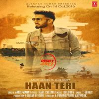 Haan Teri Amol Mann MP3 Song, Haan Teri Album
