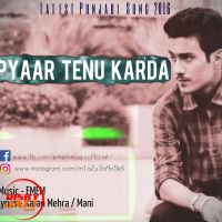 Pyaar Tenu Karda EMEM MP3 Song, Pyaar Tenu Karda Album