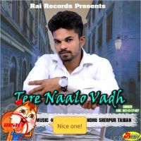 Tere Naalo Vadh PS Rai MP3 Song, Tere Naalo Vadh Album