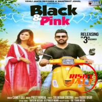Black Camey Gill MP3 Song, Black Pink Album