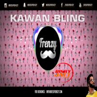 Kawan Bling Dj Frenzy MP3 Song, Kawan Bling Album