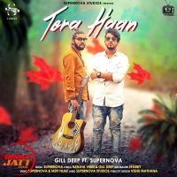 Tera Haan Gill Deep, Supernova MP3 Song, Tera Haan Album