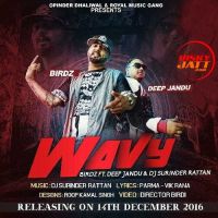 Wavy Birdz, Deep Jandu MP3 Song, Wavy Album