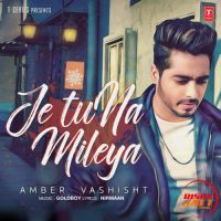 Download Je Tu Na Mileya Amber Vashisht mp3 song, Je Tu Na Mileya lyrics
