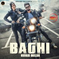 Baagi Nirvair Dhillon MP3 Song, Baagi Album