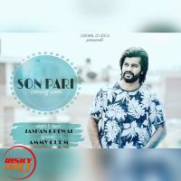 Sonpari Jashan Grewal, Ammy Gurm MP3 Song, Sonpari Album