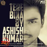 Tere Bina Ashish Kumar, Shubham MP3 Song, Tere Bina Album