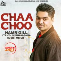 Chaa Choo Namr Gill MP3 Song, Chaa Choo Album