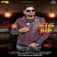 Sip Sip Parminder Sidhu MP3 Song, Sip Sip Album