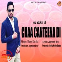 Chaa Canteena Di Harry Kaleka MP3 Song, Chaa Canteena Di Album