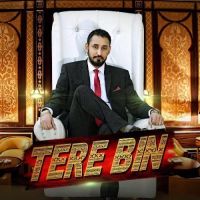 Tere Bin G Garcha MP3 Song, Tere Bin Album