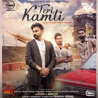 Teri Kamli Goldy Desi Crew MP3 Song, Teri Kamli Album