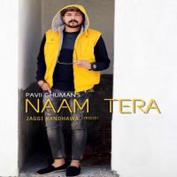 Naam Tera (Live) Pavii Ghuman MP3 Song, Naam Tera (Live) Album