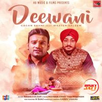 Deewani Master Saleem, Gagan Sahni MP3 Song, Deewani Album