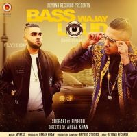 Bass Wajay Loud Sheraki, Fly High MP3 Song, Bass Wajay Loud Album