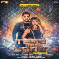 Tere Naaal Yaari Sukhy Maan MP3 Song, Tere Naaal Yaari Album