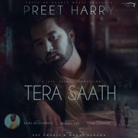Tera Saath Preet Harry MP3 Song, Tera Saath Album