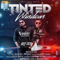 Tinted Windows Gee Cee, Ravish Khanna MP3 Song, Tinted Windows Album