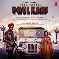 Phulkari Preet Goraya MP3 Song, Phulkari Album