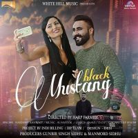 Black Mustang Harneet Banwait MP3 Song, Black Mustang Album
