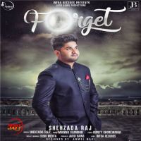 Forget Shehzada Raj MP3 Song, Forget Album