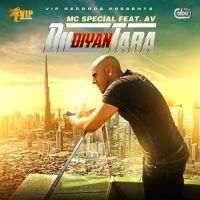 Dil Diyan Tara Mc Special MP3 Song, Dil Diyan Tara Album