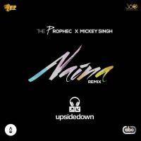 Naina (Upsidedown Remix) The Prophec, Mickey Singh MP3 Song, Naina (Upsidedown Remix) Album