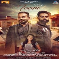 Meri Toom Sony Aulakh MP3 Song, Meri Toom Album