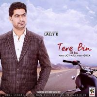Tere Bin Lally K MP3 Song, Tere Bin Album