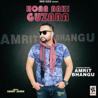 Hona Nahi Guzara Amrit Bhangu MP3 Song, Hona Nahi Guzara Album