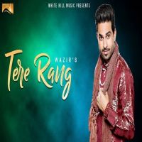 Tere Rang Wazir MP3 Song, Tere Rang Album