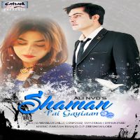 Shaman Pai Gayiaan Ali Nvd MP3 Song, Shaman Pai Gayiaan Album