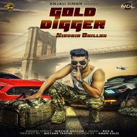 Gold Digger Nirvair Dhillon MP3 Song, Gold Digger Album