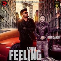 Feeling Aardee MP3 Song, Feeling Album