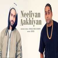 Neeliyan Aakhiyan Shaji, KB, B Rave MP3 Song, Neeliyan Aakhiyan Album