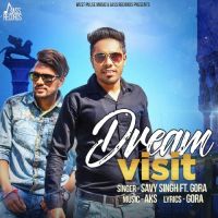 Dream Visit Savy Singh MP3 Song, Dream Visit Album