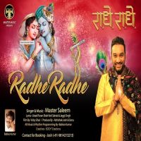 Radhe Radhe Master Saleem MP3 Song, Radhe Radhe Album