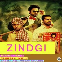 Zindgi Mr U MP3 Song, Zindgi Album