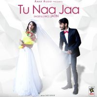 Tu Naa Jaa Jatin MP3 Song, Tu Naa Jaa Album