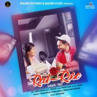 Red Rose Tazz MP3 Song, Red Rose Album