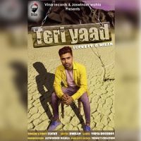 Teri Yaad Luck E, D Milan MP3 Song, Teri Yaad Album