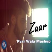 Pyar Wala Mashup Zaar MP3 Song, Pyar Wala Mashup Album