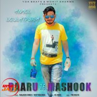 Daaru Te Mashook ANMOL DOULATPURIA MP3 Song, Daaru Te Mashook Album