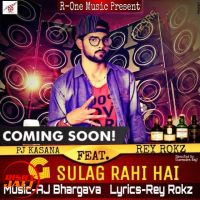 G Sulag Rahi Hai PJ Kasana Ft. Rey Rokz MP3 Song, G Sulag Rahi Hai Album