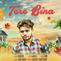 Tere Bina Sameer MP3 Song, Tere Bina Album