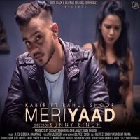 Meri Yaad Kabir, Rahul Shoor MP3 Song, Meri Yaad Album