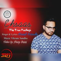 Ehsaas Minal Narual MP3 Song, Ehsaas Album