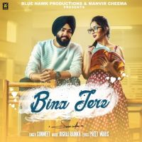 Bina Tere Sunmeet MP3 Song, Bina Tere Album