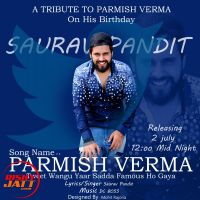 Tweet Wangu Saurav Pandit, Parmish Verma MP3 Song, Tweet Wangu Album